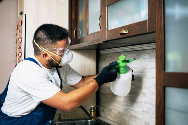 Best Affordable Pest Control Services  in Hackberry, TX