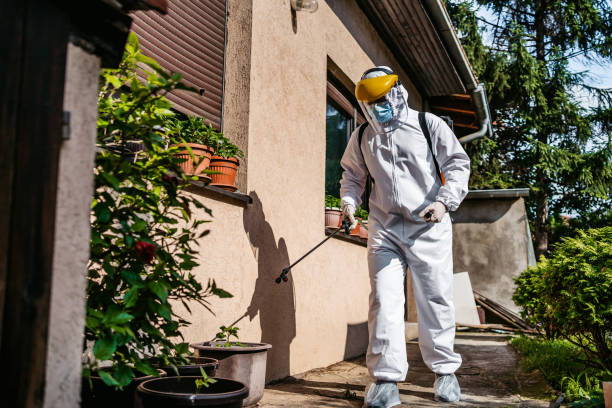 Reliable Hackberry, TX Pest Control Solutions