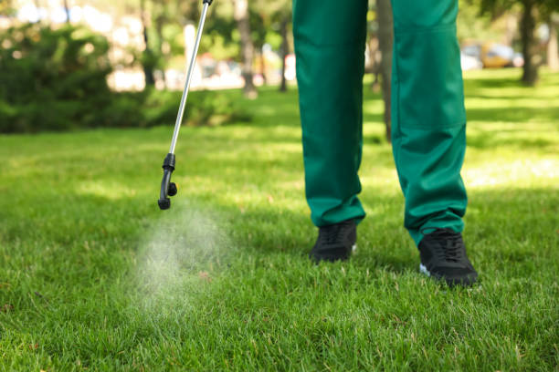 Best Cockroach Control Services  in Hackberry, TX