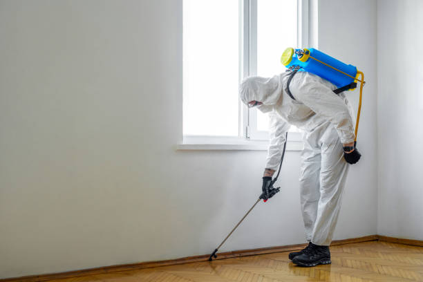 Pest Control Cost in Hackberry, TX