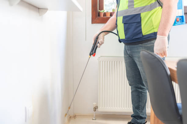 Best Termite Control Services  in Hackberry, TX