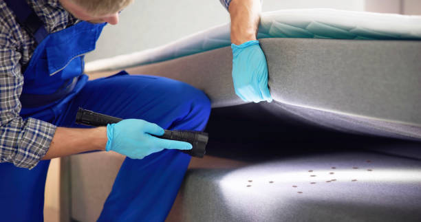 Flea Control Services in Hackberry, TX